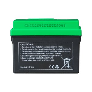 Аккумулятор FUBAG li-ion 3Ah для инверторного генератора TI 11000 A ES (арт. 646211) купить в Перми